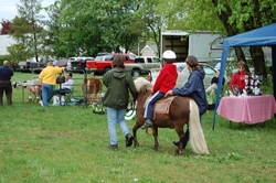AlWarr-m-877j2dKJuD-SergeantsvilleFarmersMarket-dsc_0271_250x166