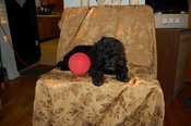 Eggy-E7wwHqts5P-tn_0002618066-02i-1